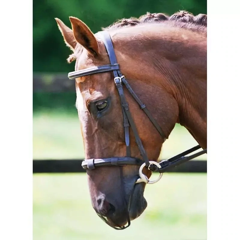 Protection de Nez Equilibrium