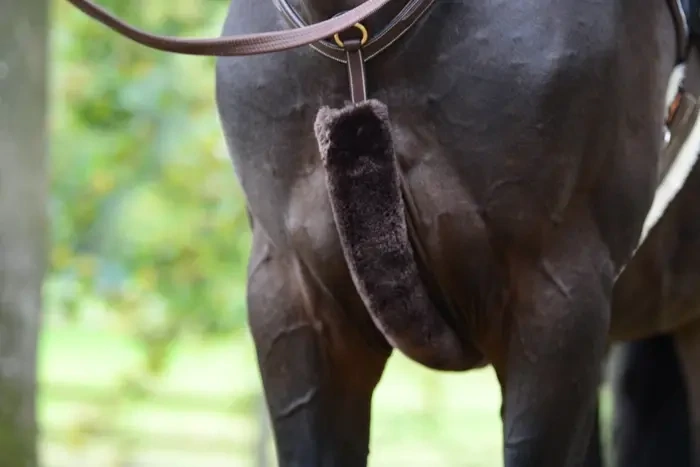 Fourreau Mouton Collier de chasse Kentucky 42601 Brown