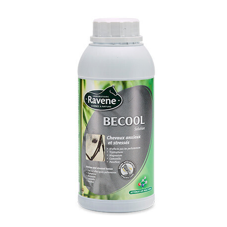 Becool  Ravene