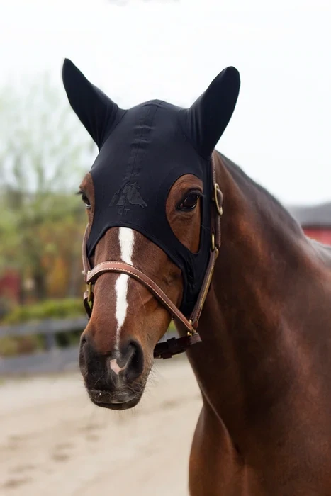 Masque Anti stress Avec Oreilles Fenwick