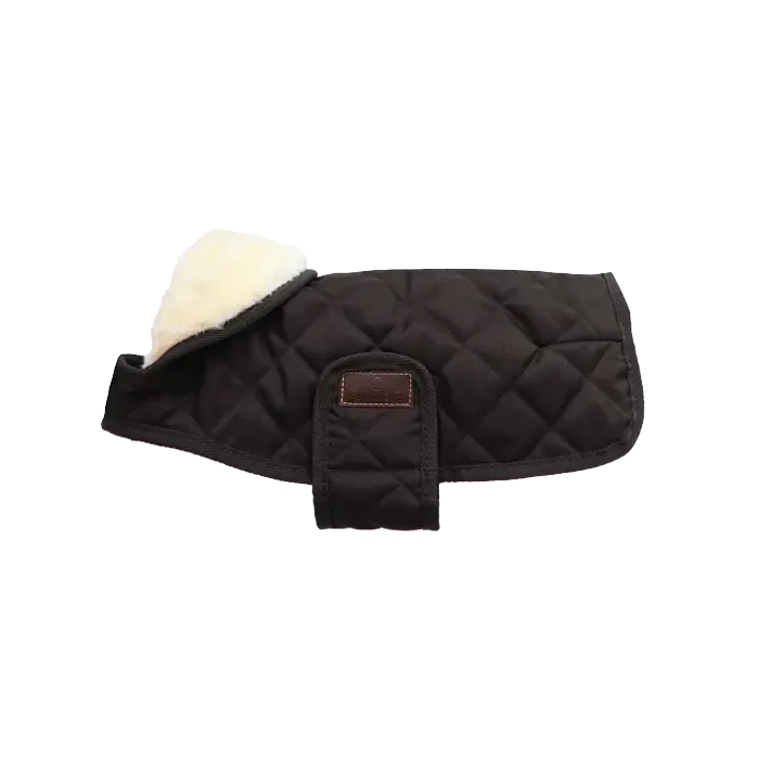 Dog Rug Original Kentucky 52104 BLack
