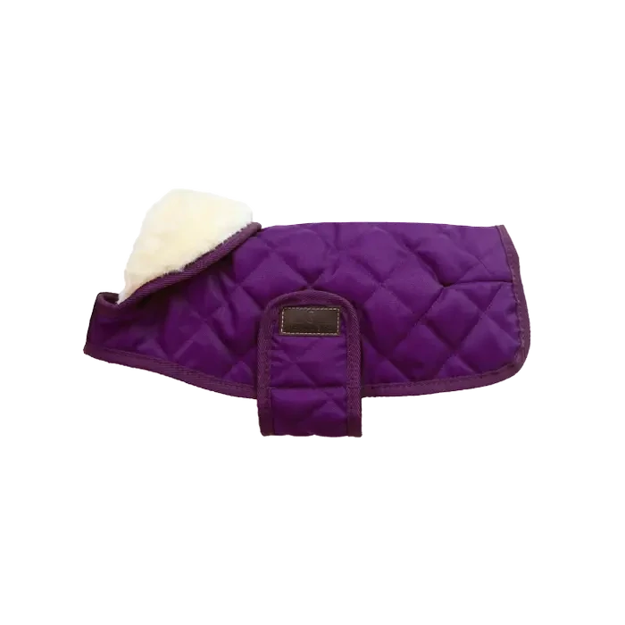 Dog Rug Original Kentucky 52104 dark purple