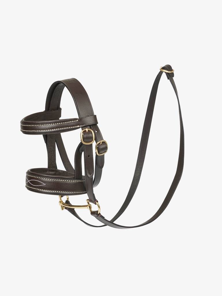 Briddle Lemieux Brown
