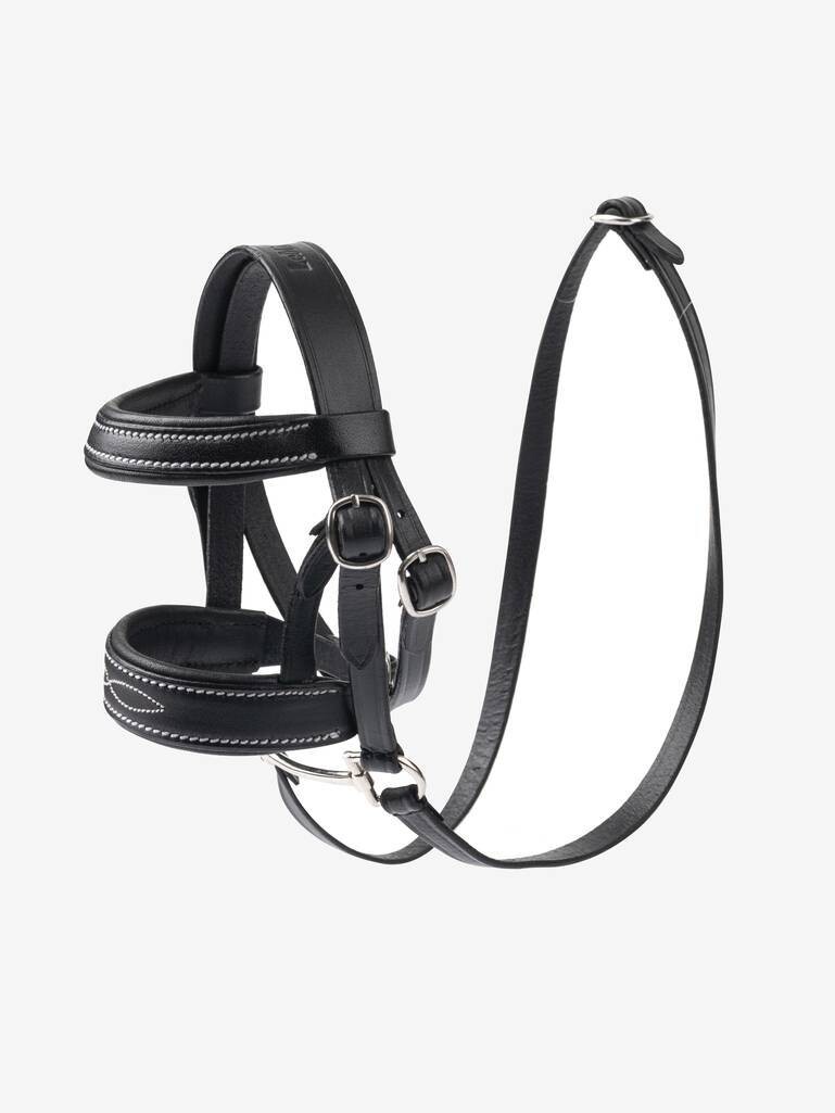 Briddle Lemieux Black