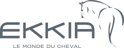 Ekkia