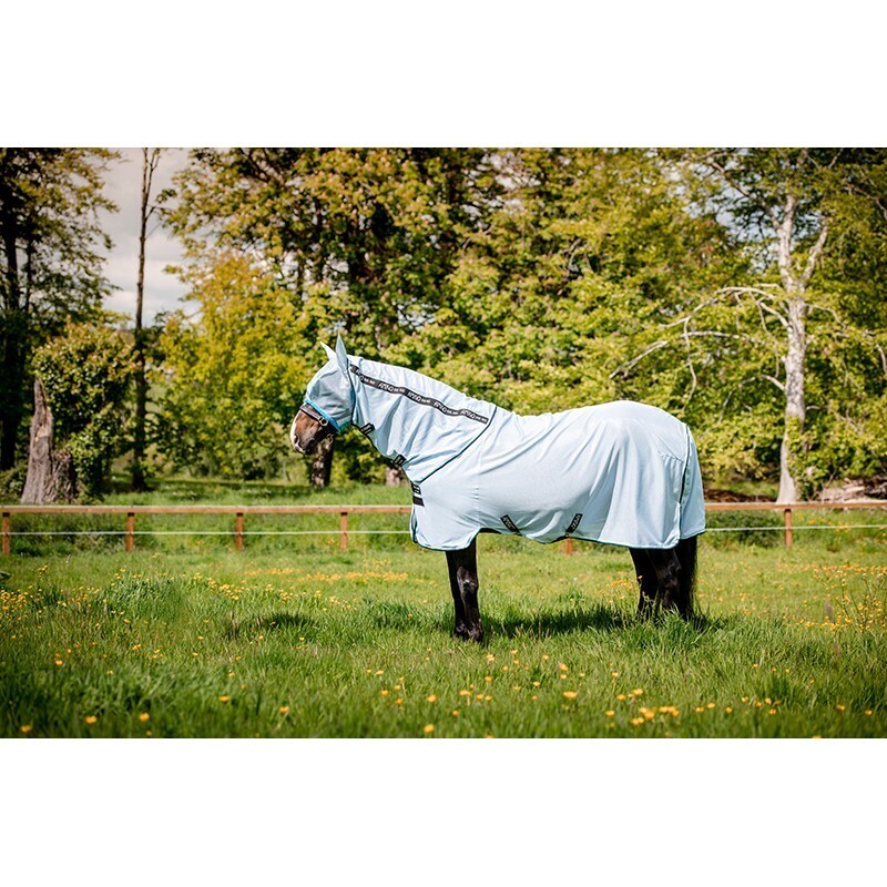 Amigo Ameco Bug Rug Horseware AFRBK0