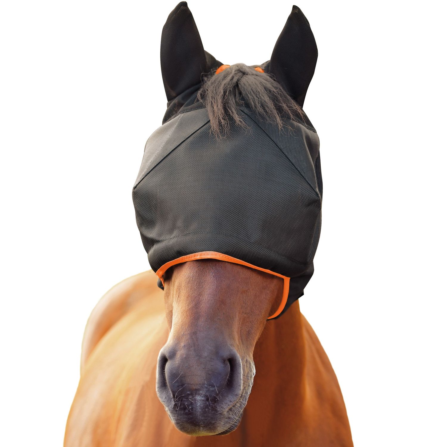 Midi Equilibrium fly mask with ears