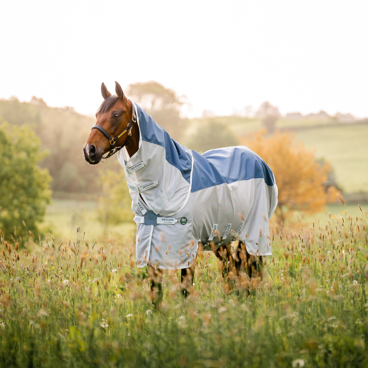 Amigo Ameco Combi Fly Rug Horseware AFRPLE