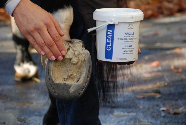 CLEAN Clay Equinea