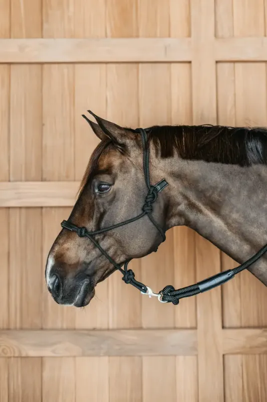 Training Halter Dy'On  WO09C black