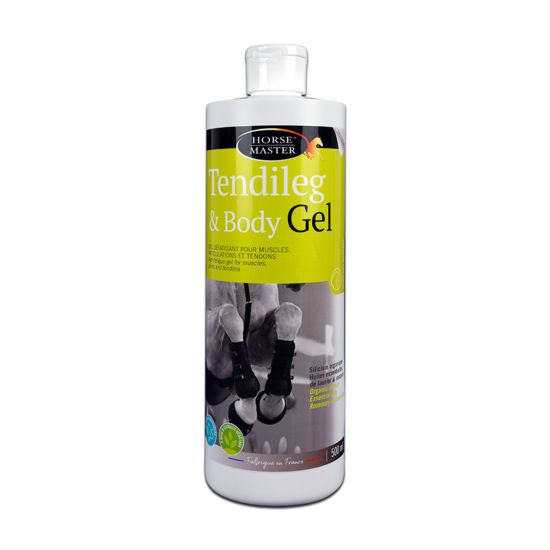 Tendileg & Body Gel   HorseMaster