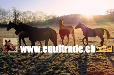 Equitrade