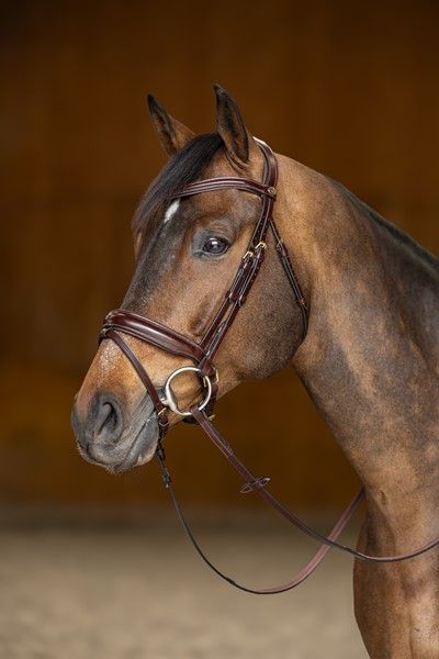 Bridon Pro line pull back Verona HFi brown