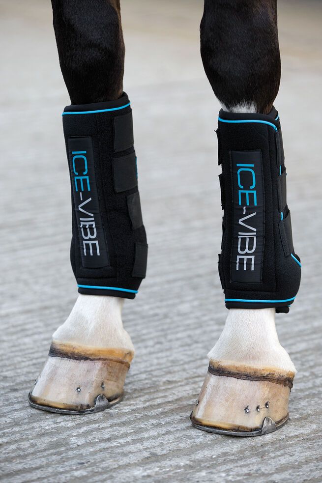Ice Vibe Boots Horseware  DBHK8V