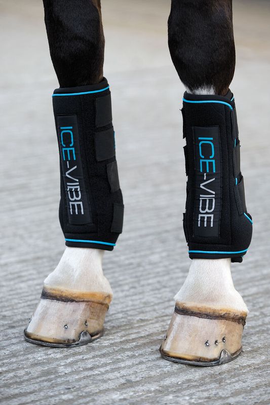 Horseware Ice Vibe Boots  DBHK8V
