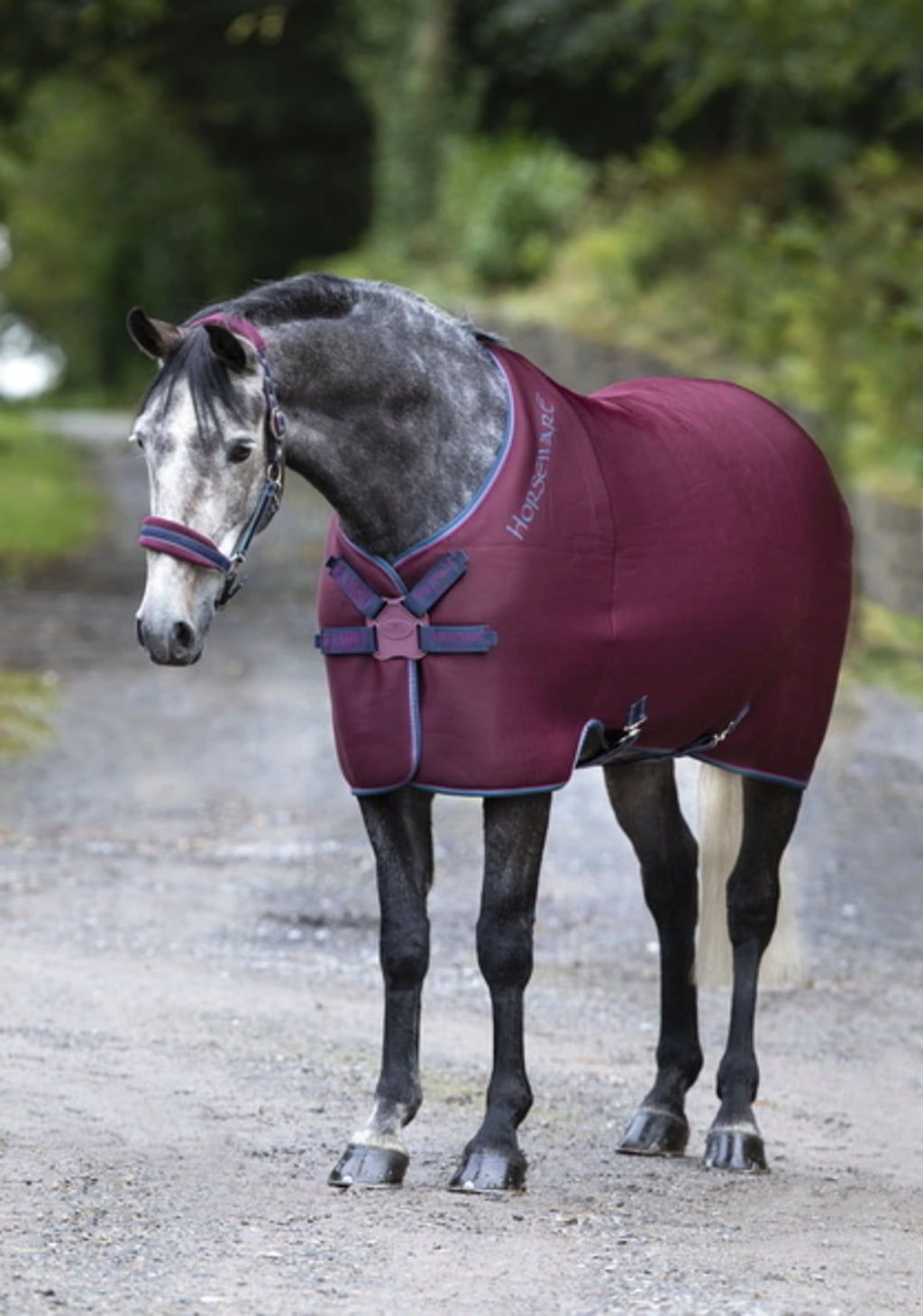 Chemise Séchante Rambo Airmax Cooler Horseware bdx
