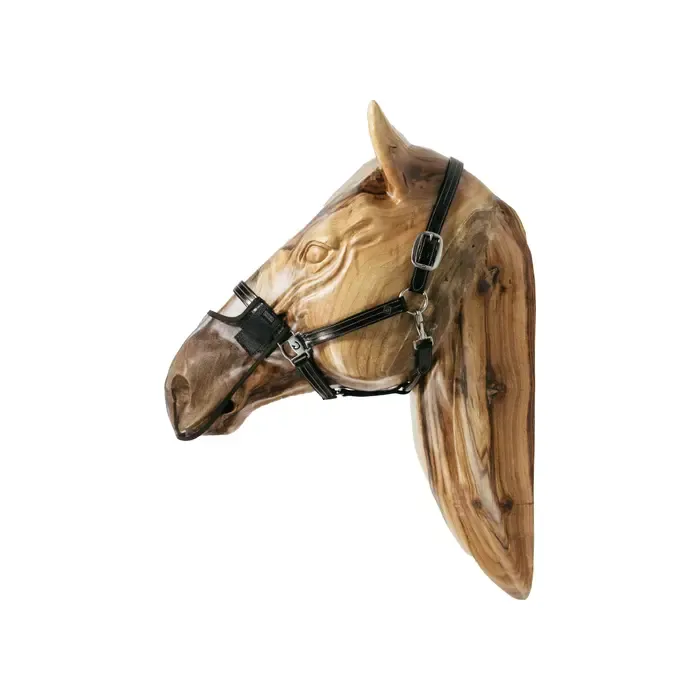 Anti Fly nose net Kentucky 42663 brown