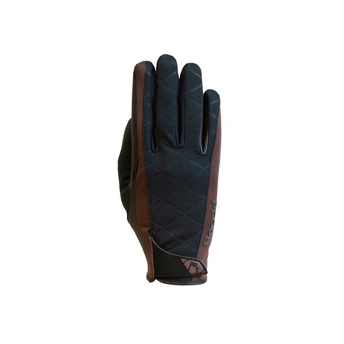 Gants Wattens Winter Roeckl