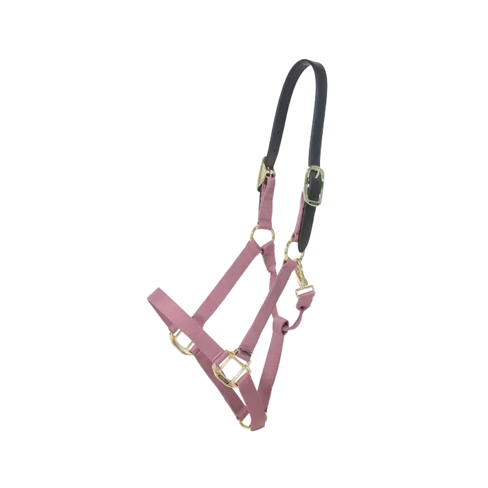 Nylon Halter Breakaway Kentucky 42665 rose