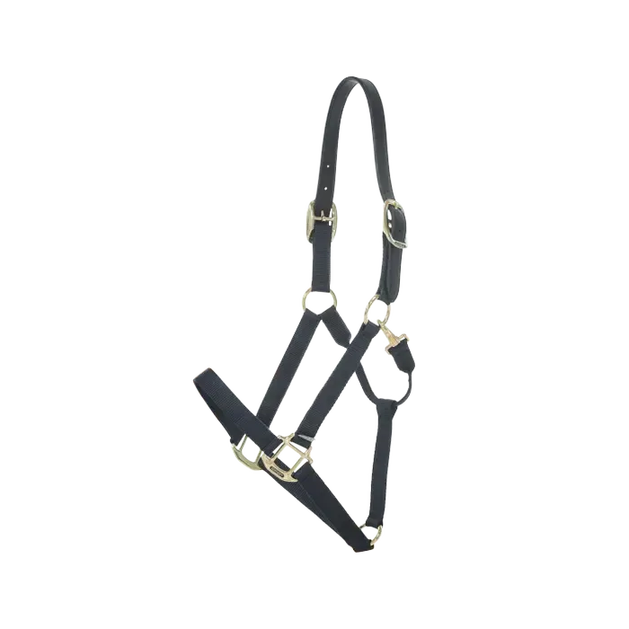 Nylon Halter Breakaway Kentucky 42665 black