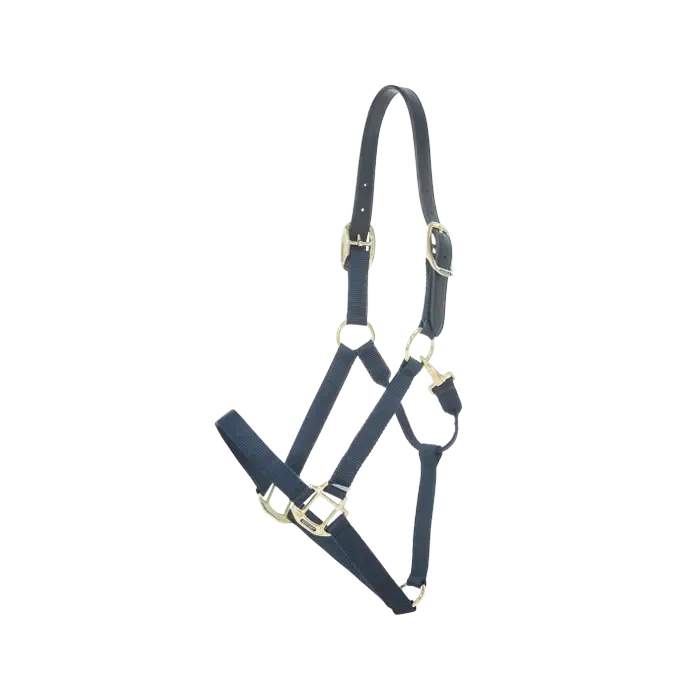 Nylon Halter Breakaway Kentucky 42665 navy