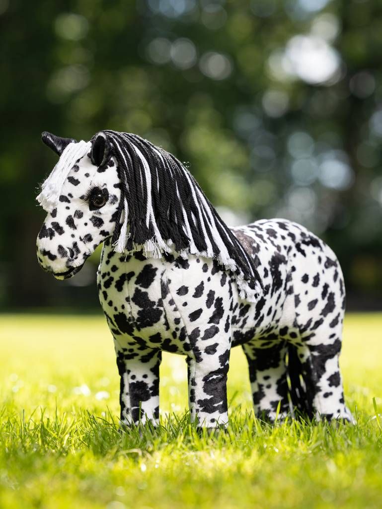 Poney Lemieux Dakota