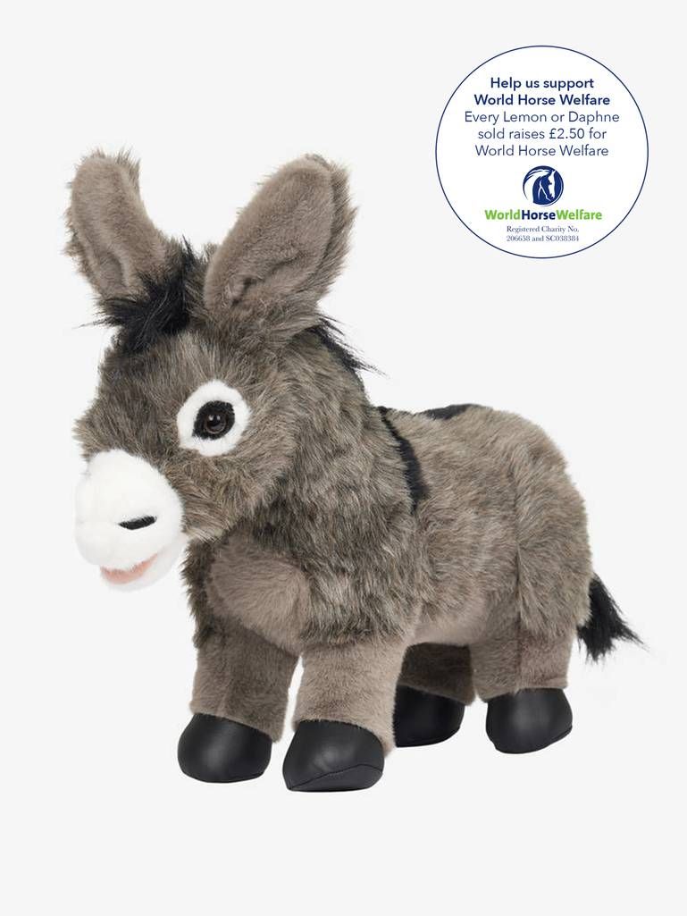 Poney Lemieux Donkey Daphné