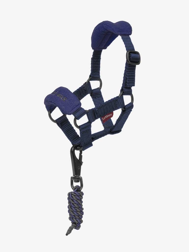 Toy Pony Licol et longe  Lemieux inke blue
