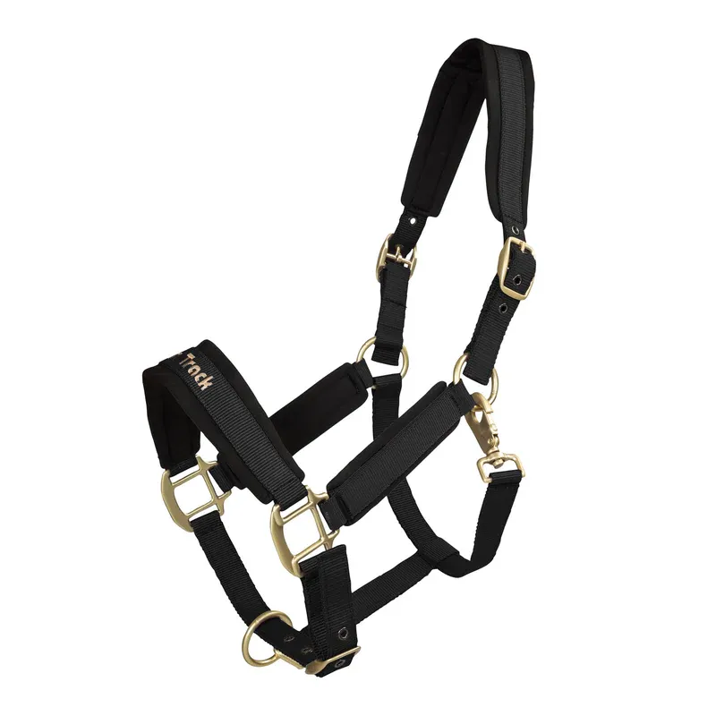 Werano Halter Back On Track black