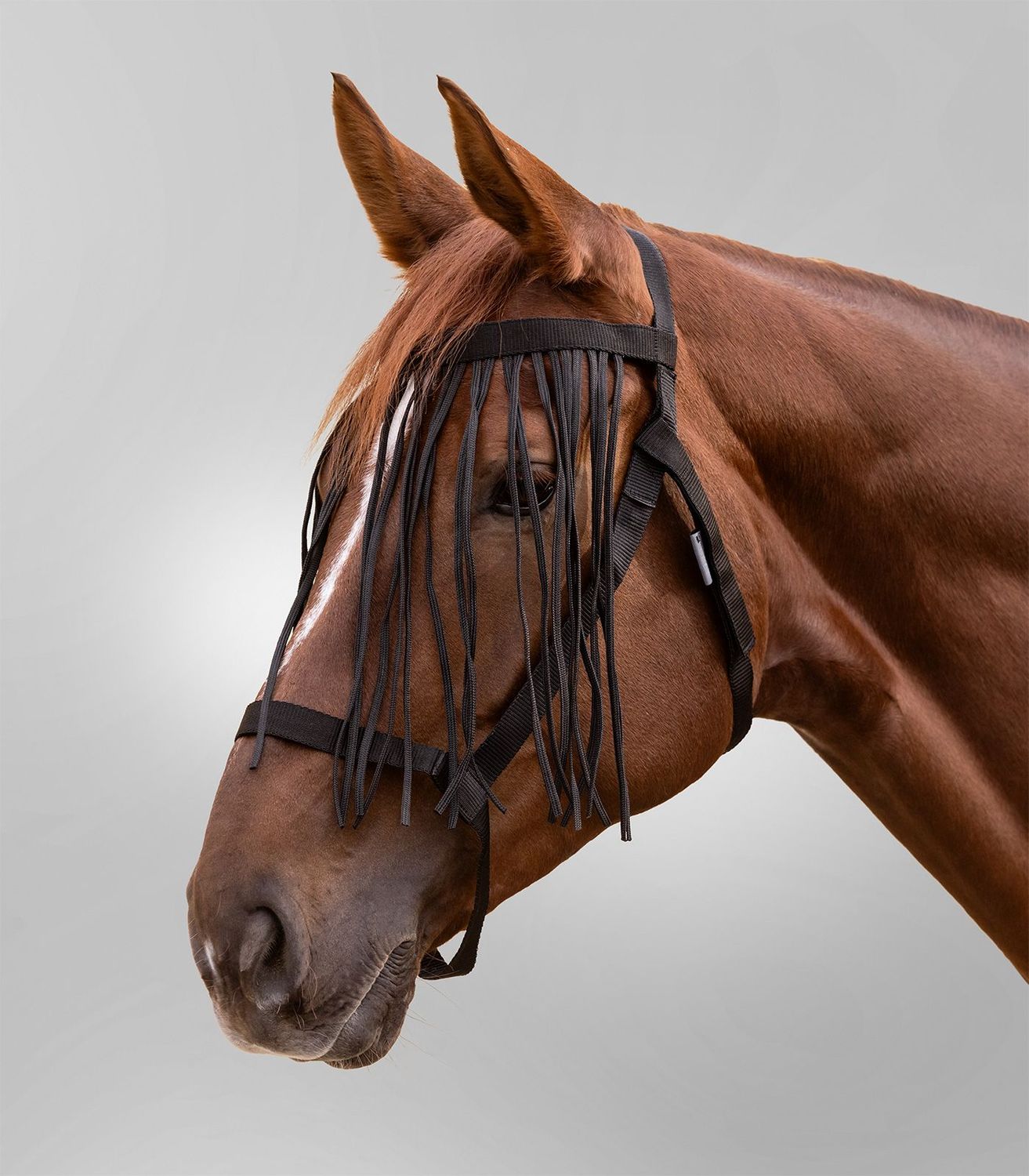 Waldhausen Fringed grazing halter