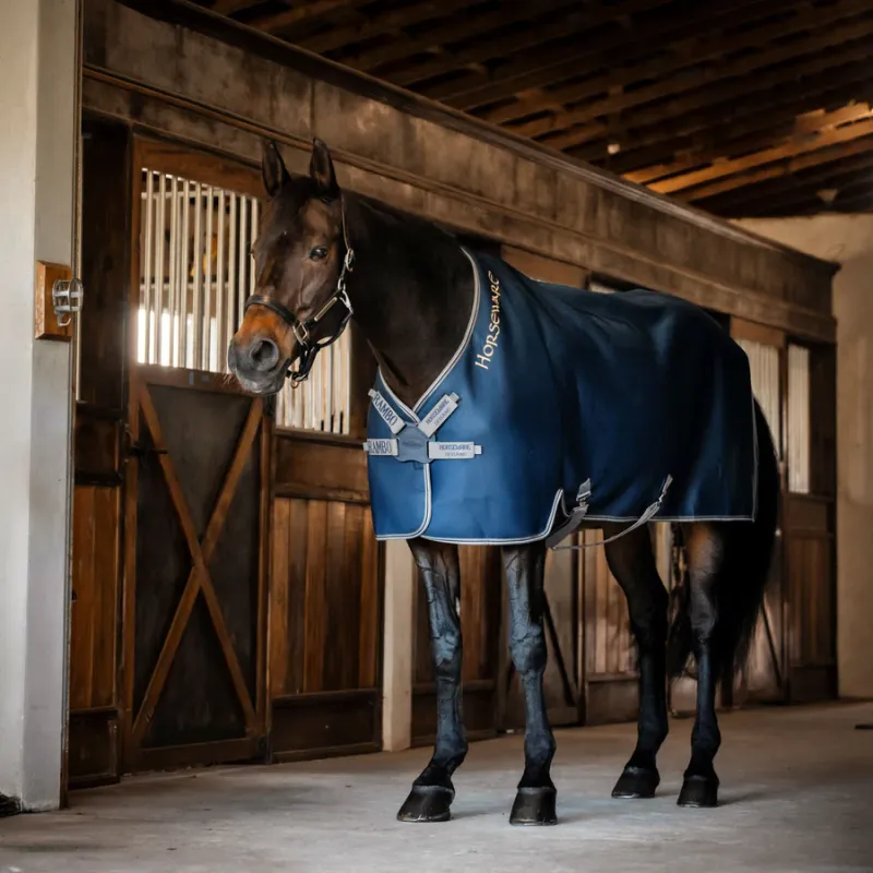 Chemise Séchante Rambo Airmax Cooler Horseware navy/grey