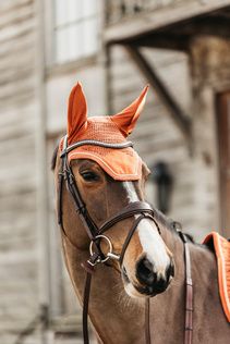 Bonnet Wellington  Velvet Kentucky 42626