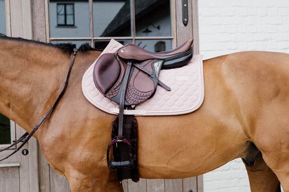 Saddle Pad Onion Jumping Kentucky  42727