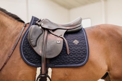 Saddle Pad Glitter Rope Jumping Kentucky 42584