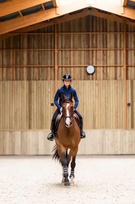 T-Shirt ML Winter FW25 Horse Pilot