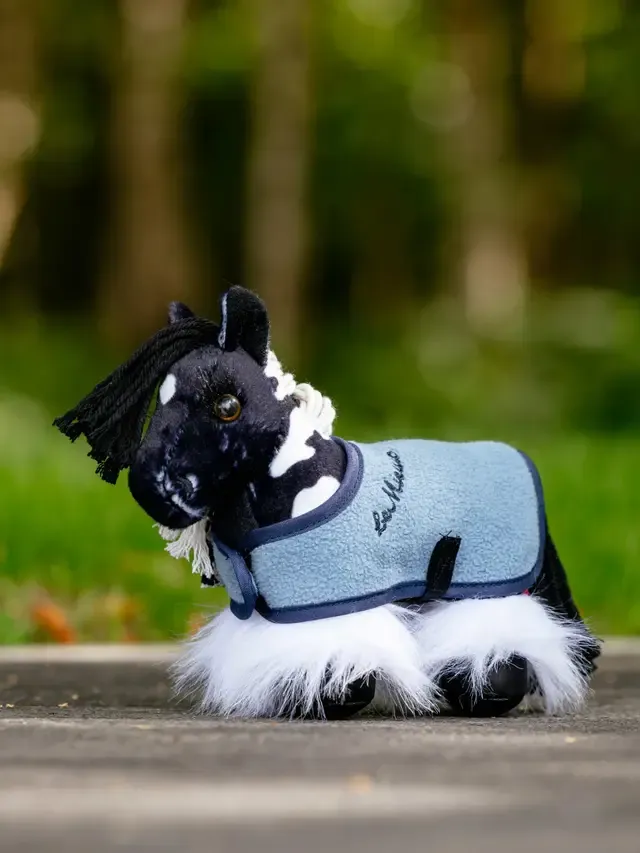 Tiny Pony  Lemieux  Razzle Tiny Pony  Lemieux  Razzle