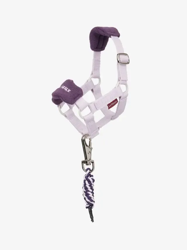 Toy Pony Licol et longe  Lemieux Lilas Toy Pony Licol et longe  Lemieux Lilas