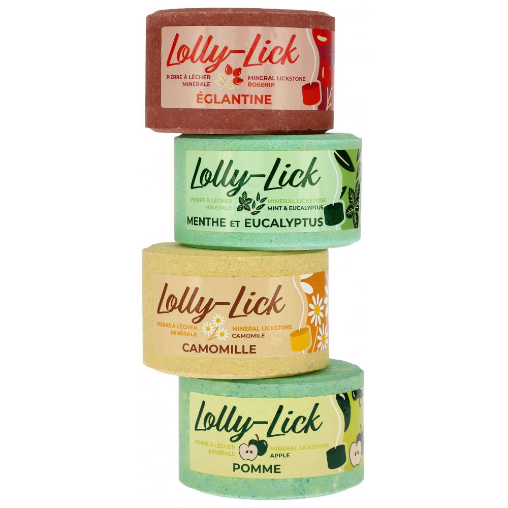 Pierre à lécher Lolly-Lick Hippo Tonic