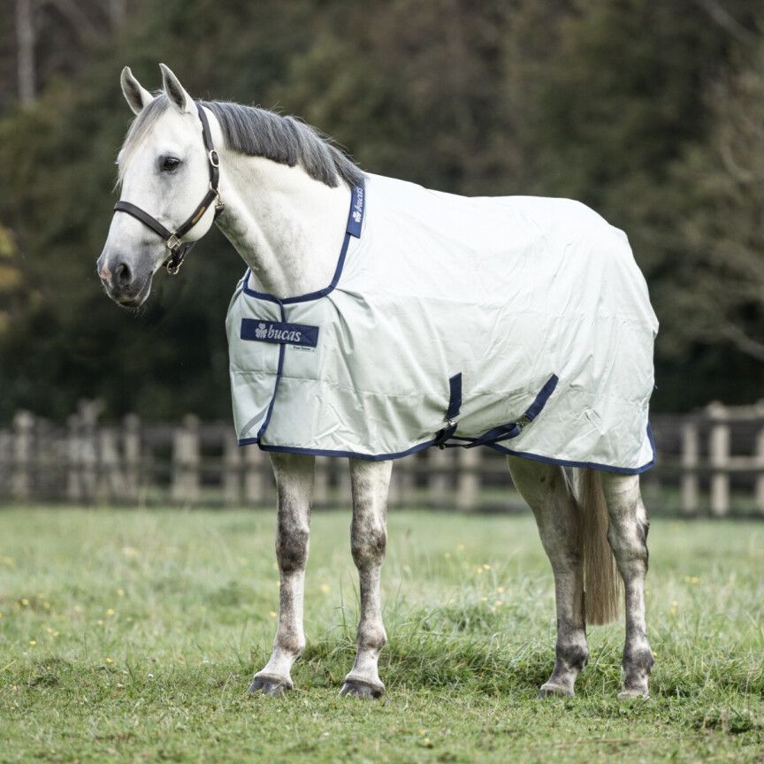 Power Turnout Light  Bucas