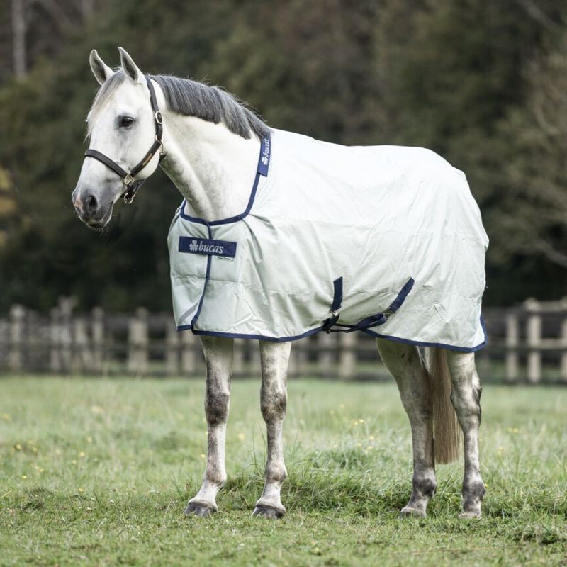 Power turnout light Bucas