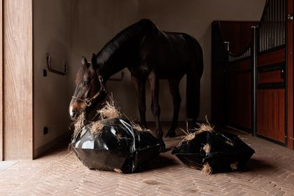 Sac à Foin Play & Slowfeeder Rond Kentucky L 82227L