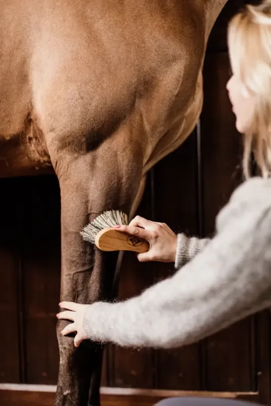 Brosse dure moyenne Kentucky 82120