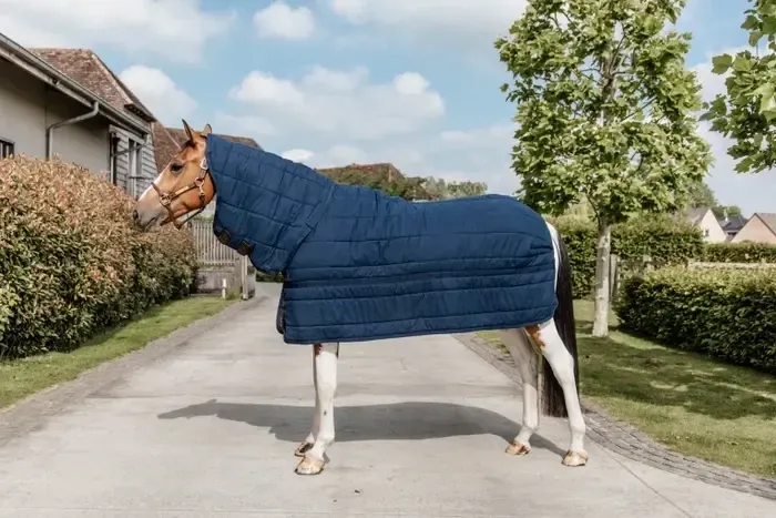 Sous-couverture Skin Friendly avec couvre-cou 150g  Kentucky 52216