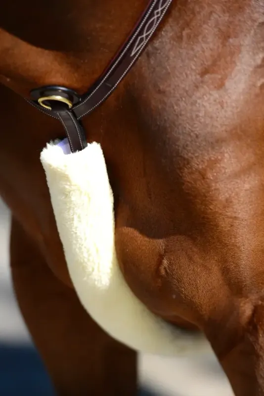 Sheep Sheath Hunting collar Kentucky 42601 Naturel