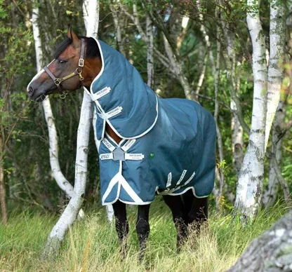 Couverture d'Extérieur Amigo Ameco 12 Plus 0g - Horseware AAROJ0