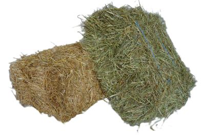 Foin Et Paille