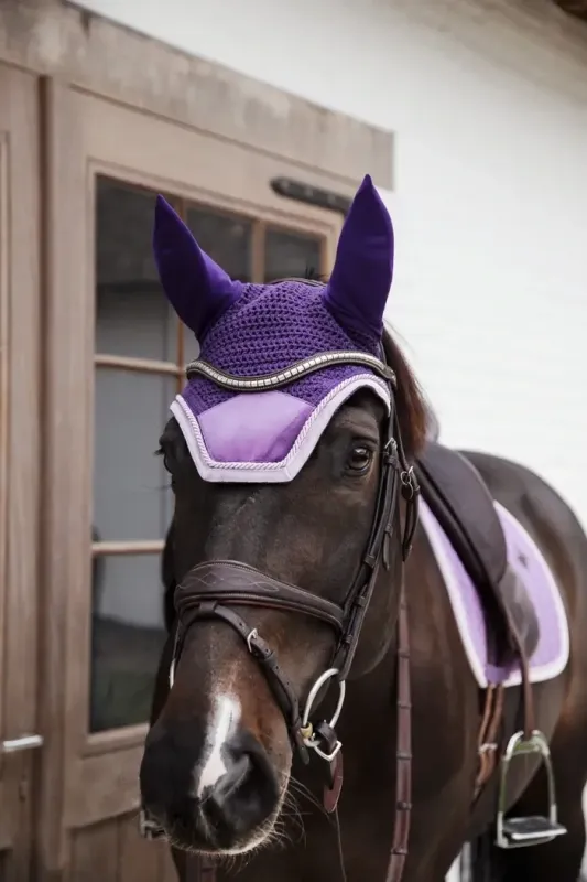 Fly Veil Wellington Velvet Contrast Kentucky 42636