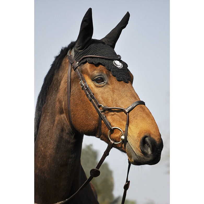 Evolution Infinity IHWT bridle Evolution Infinity IHWT bridle