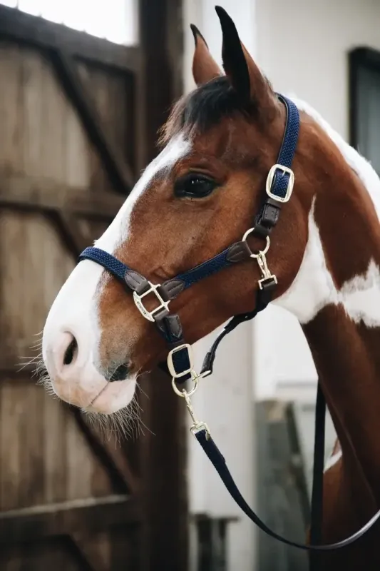 Plaited Nylon Halter Kentucky 42516 Navy