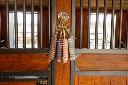 Longe Basic Kentucky 42535